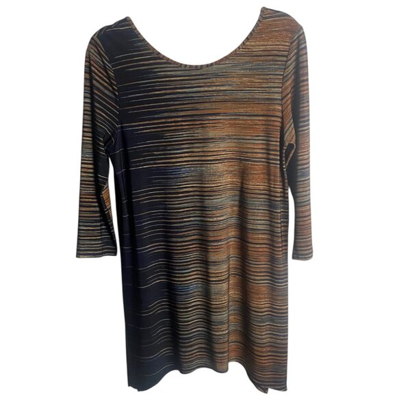 Clara Sun Woo Size Medium Striped Tunic Top Blouse Blue Brown V Neck Artsy Shirt - Picture 3 of 6
